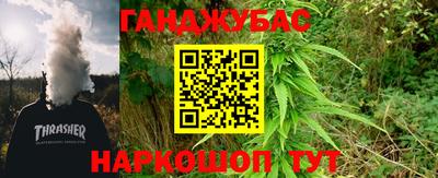 сатива Моздок