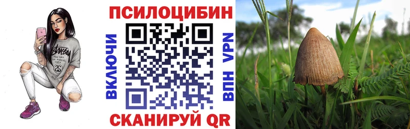 Галлюциногенные грибы прущие грибы  Ульяновск 