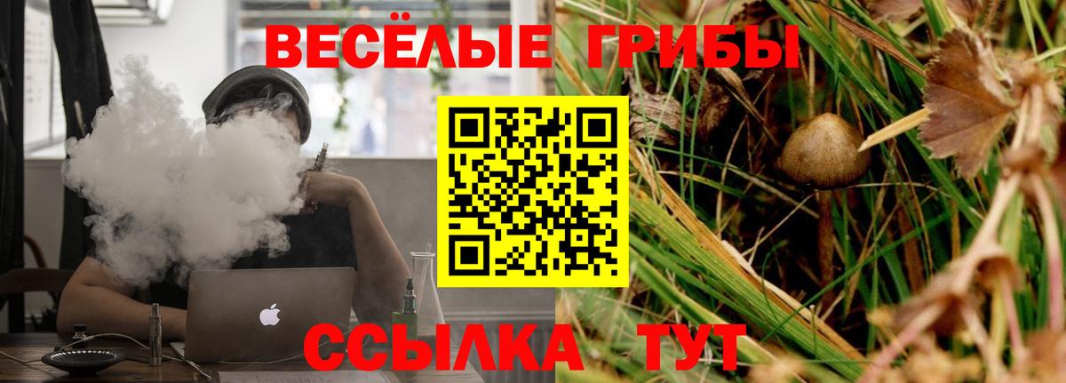Галлюциногенные грибы MAGIC MUSHROOMS Ульяновск