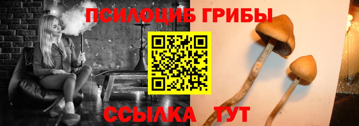 Ульяновск  Галлюциногенные грибы ЛСД  Вход с VPN 